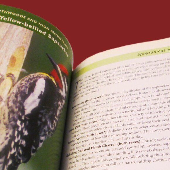 NWOT Know Your Bird Sounds Book Volume 2  Lang Elliott Audio CD Vol 2 - Picture 6 of 14